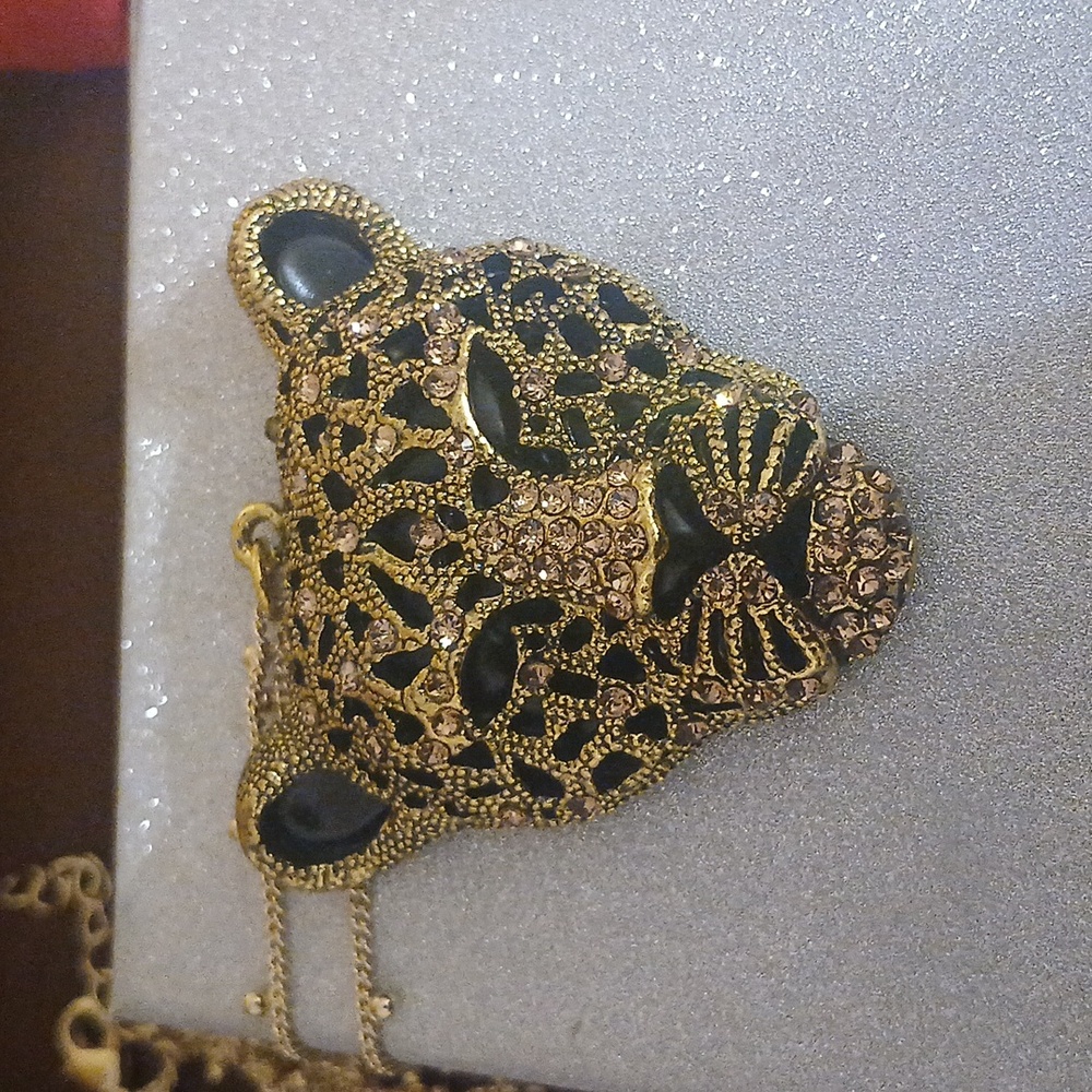 Dreamcatcher - Jaguar Dreams